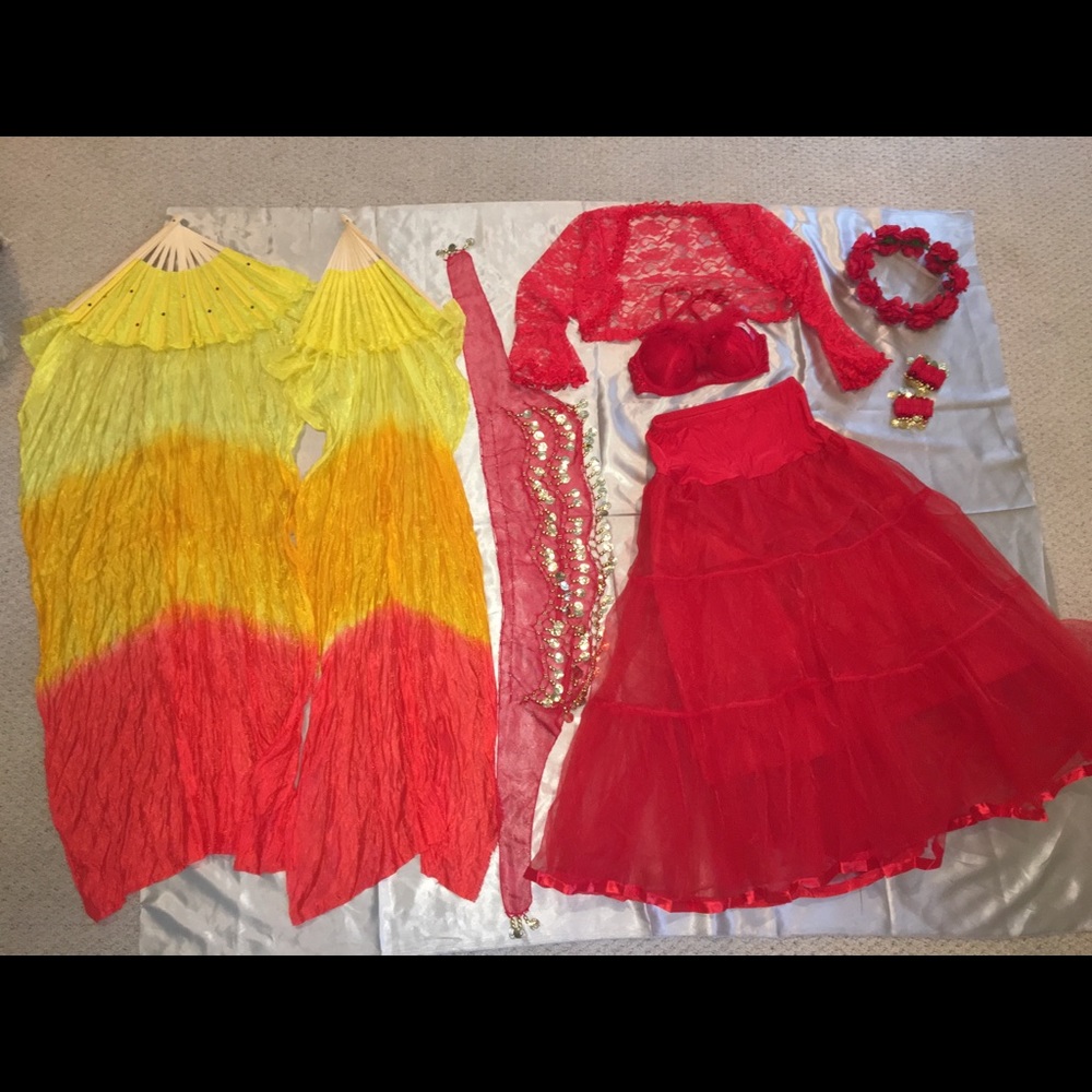 9 pc. Red Bellydance Costume Set w/ 2 Fan Veils